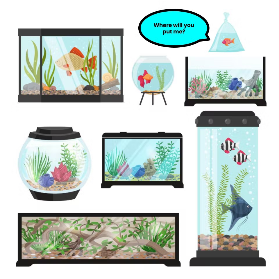 How to pick a home (tank) for your fish?